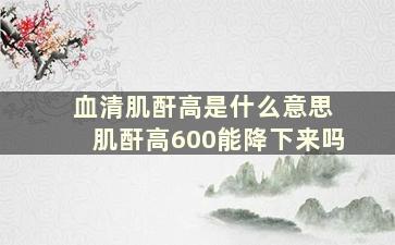 血清肌酐高是什么意思 肌酐高600能降下来吗